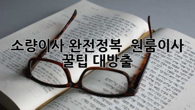 소량이사 완전정복 🚚💨 원룸이사 꿀팁 대방출!