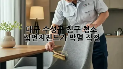 대구 수성구 침구 청소: 집먼지진드기 박멸 작전!