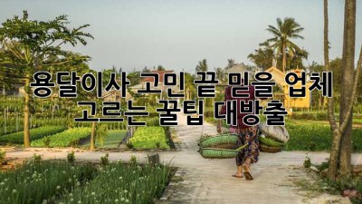용달이사🚚 고민 끝! 믿을 업체 고르는 꿀팁🍯 대방출!